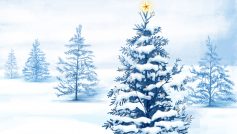 Снег, Рождество, Рождественские елки, Праздники