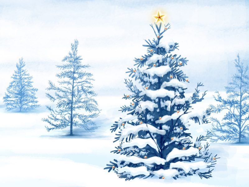 Снег, Рождество, Рождественские елки, Праздники